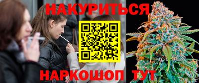стаф Бийск