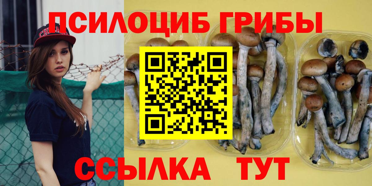 Галлюциногенные грибы прущие грибы  Вход с VPN  Владикавказ 